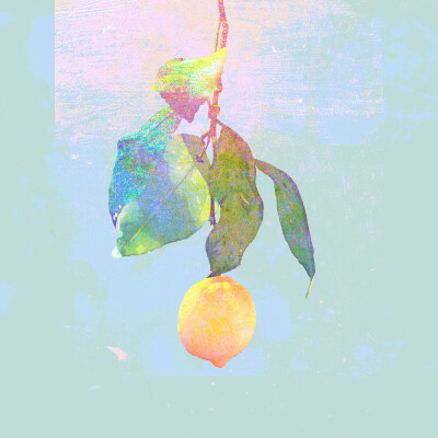 lemon·summer