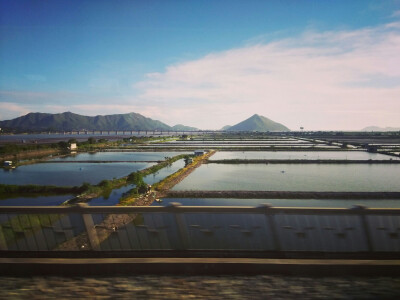 回程的动车路上