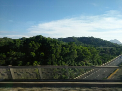 回程的动车路上