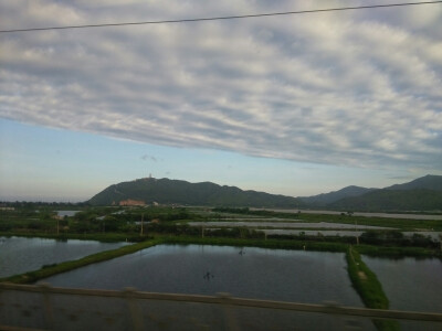 回程的动车路上