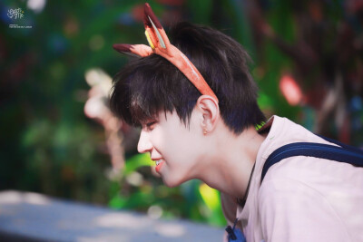 李希侃Ⅹ小狐狸