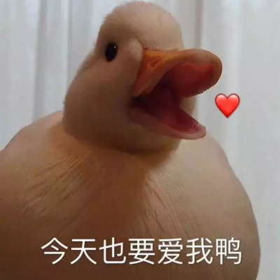 比心