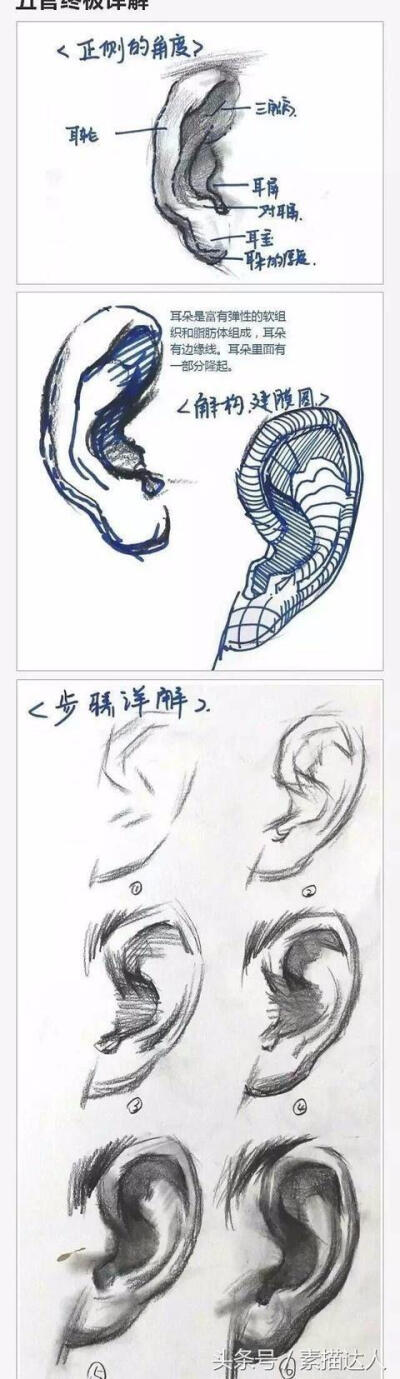 素描.教程