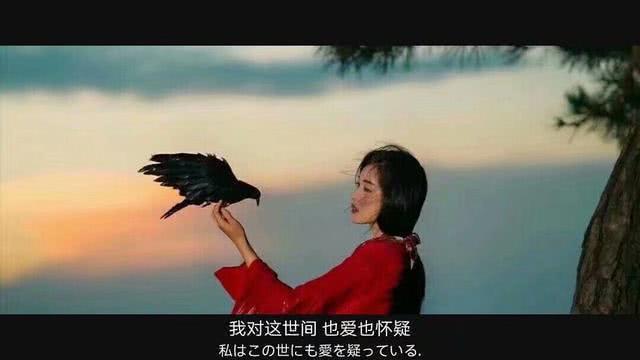 电影图片，戳泪点