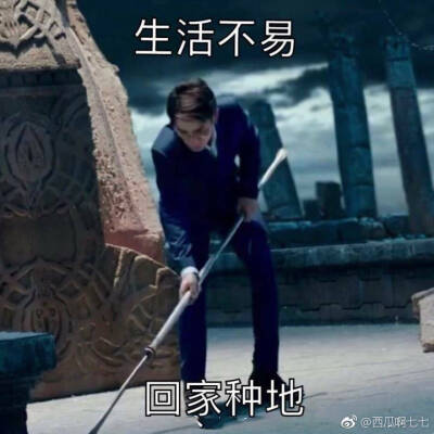 白宇朱一龙表情包