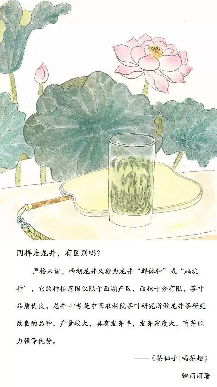 茶