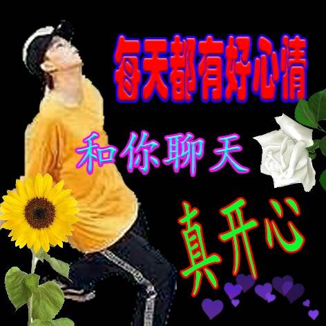 sunnee 杨芸晴 中老年人表情包