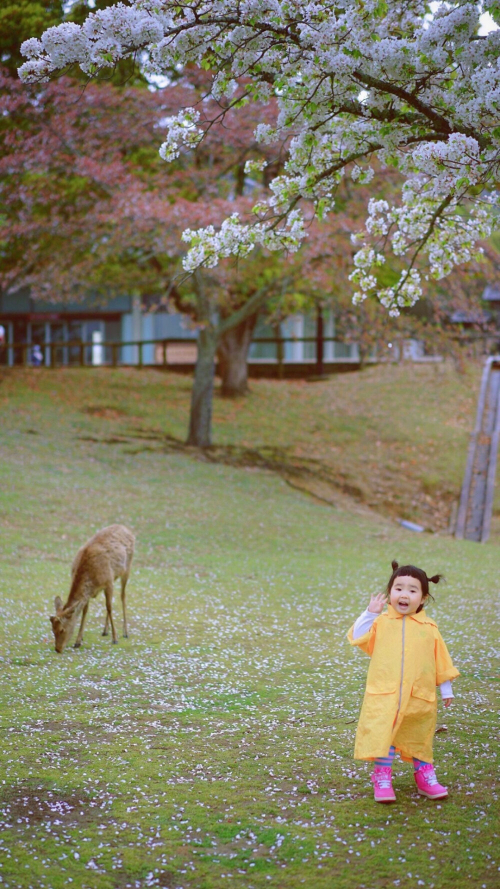 田下有心