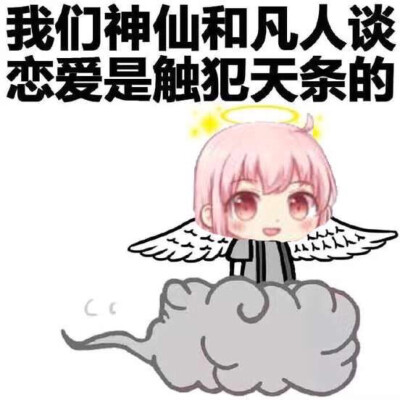 小缘ʕ •́؈•̀ ₎