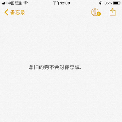 我只要忠诚的狗