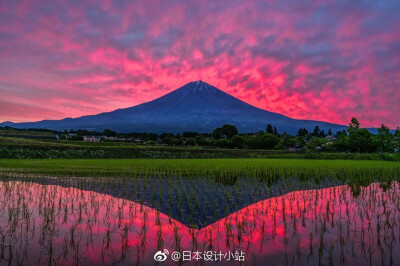 富士山