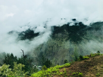 稻城亚丁 旅拍 风景
你们只看到了无比美丽的风景，可你却不知道想看到这风景，背后的艰辛?！业?8岁