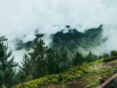 稻城亚丁 旅拍 风景
你们只看到了无比美丽的风景，可你却不知道想看到这风景，背后的艰辛。—我的18岁