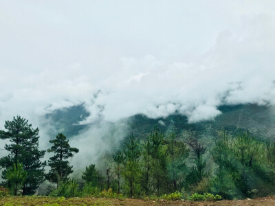 稻城亚丁 旅拍 风景
你们只看到了无比美丽的风景，可你却不知道想看到这风景，背后的艰辛。—我的18岁