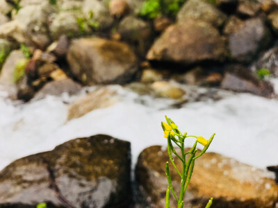 稻城亚丁 旅拍 风景
你们只看到了无比美丽的风景，可你却不知道想看到这风景，背后的艰辛?！业?8岁