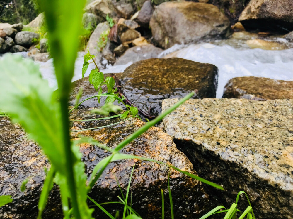 稻城亚丁 旅拍 风景
你们只看到了无比美丽的风景，可你却不知道想看到这风景，背后的艰辛。—我的18岁