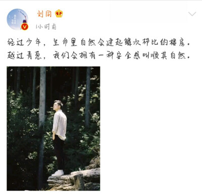 生活里需要一丢小美好，也需要清醒