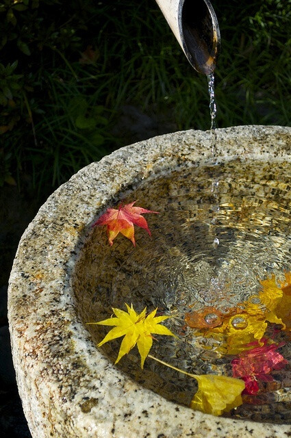 浓茶解烈酒,淡茶养精神,花茶和肠胃,清茶滤心尘,茶之德也;乌龙大红袍,黄山素毛峰,南生铁观音,北长齐山云,东有龙井绿,西多黄镶林,茶之生也;茗品呈六色,甘味任千评,牛饮可解燥,慢品能娱情,茶之趣也。