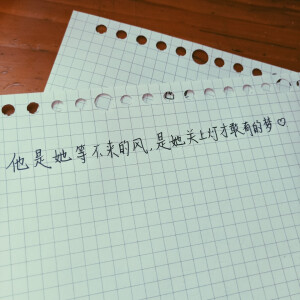 他是她等不来的风，是她关上灯才敢有的梦。