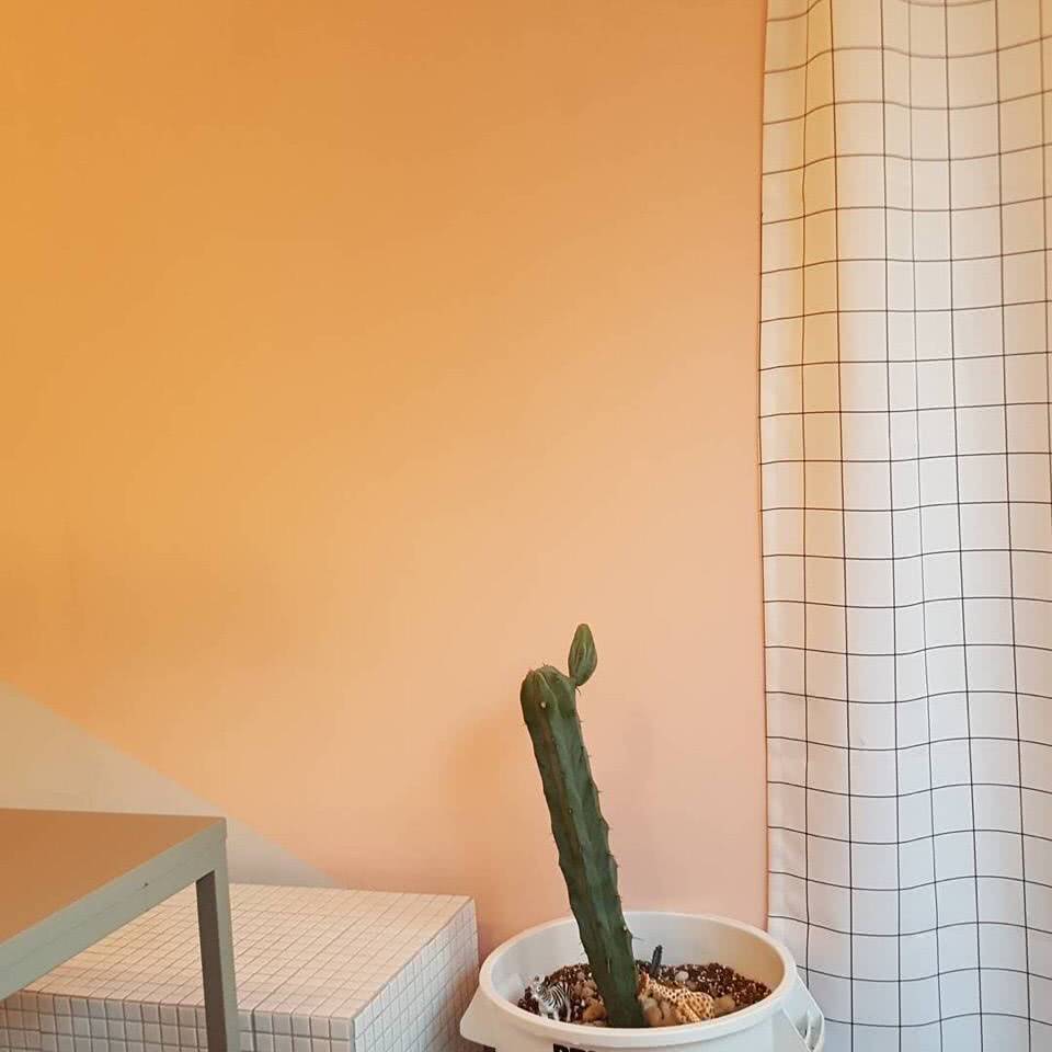 宸疚/乐清 黄色背景图