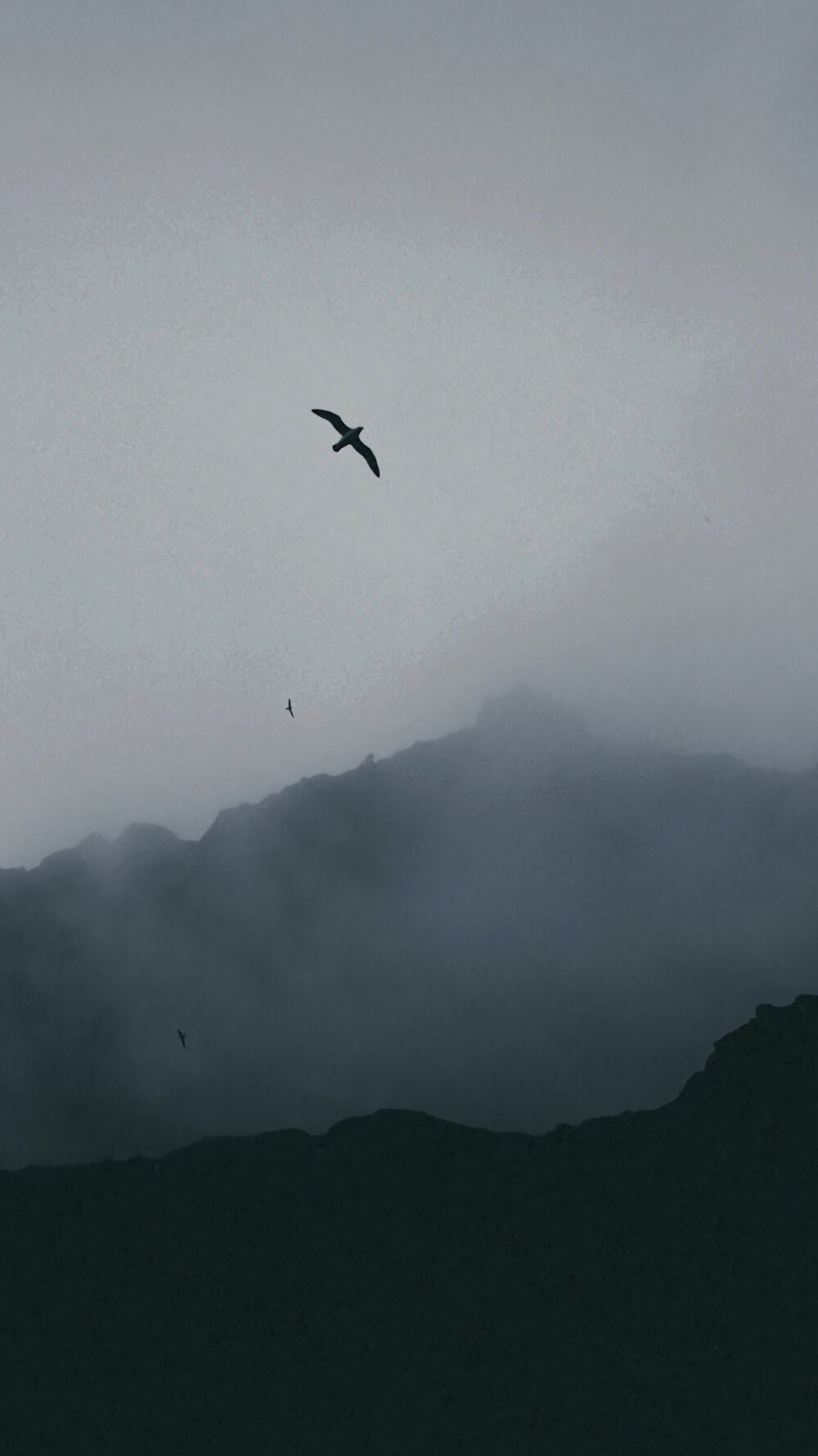 高清壁纸在线更新