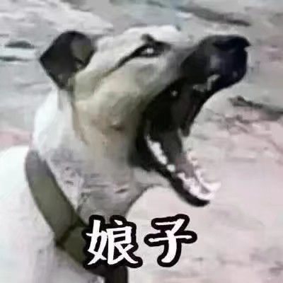 沙雕情头