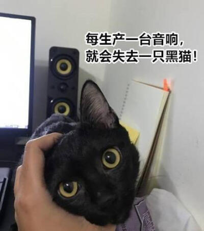 没有买卖，就没有伤害，这是猫咪被黑的最惨的一次！ ​​​​