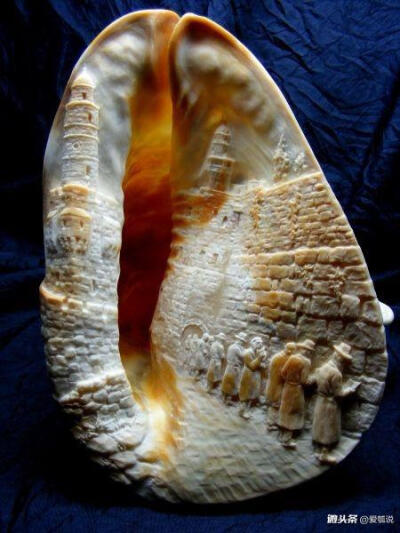 贝壳雕刻