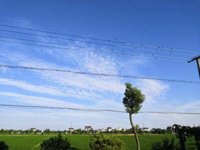 蓝蓝的天空