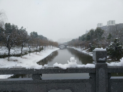 断桥是否下过雪