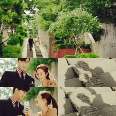 金秘书为何那样