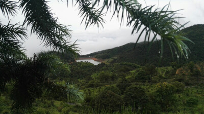 岳山茶室·观景台