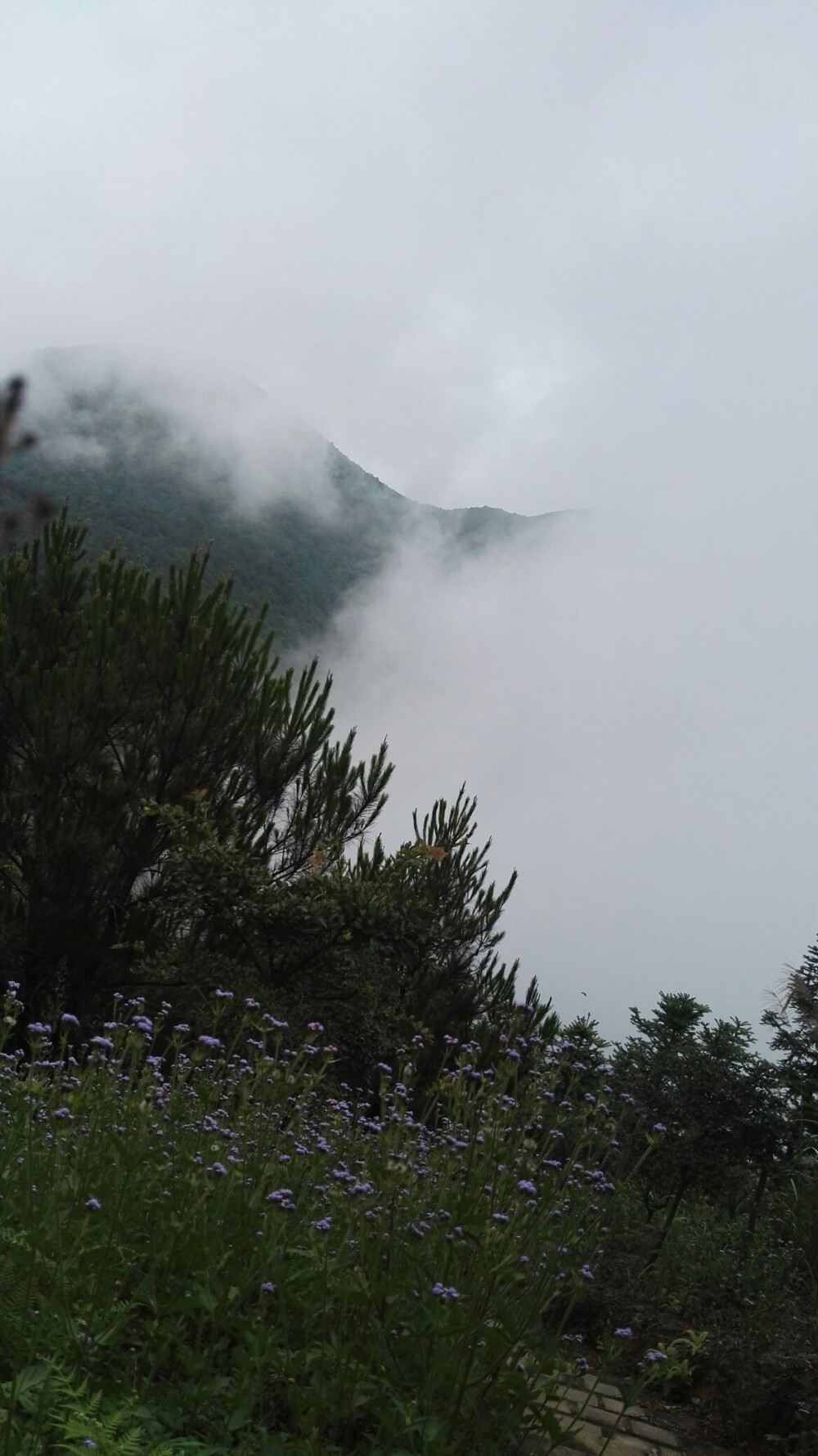 岳山茶室·登山路