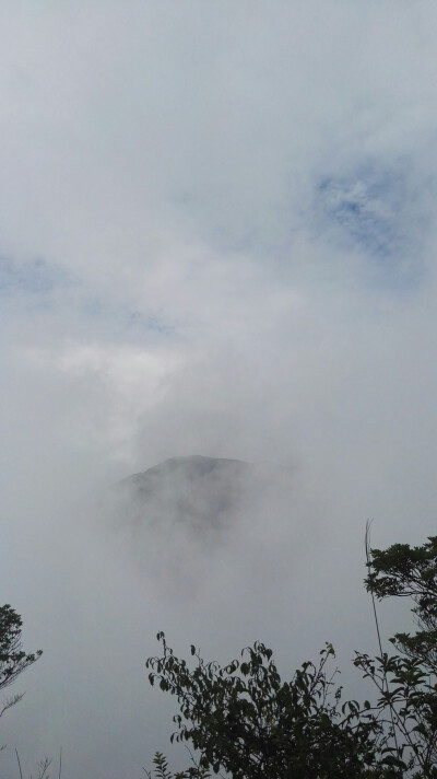 岳山茶室·山顶观景台