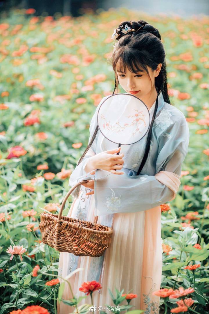 伏夏好雨初晴后，长歌载酒故地游。
晚风惹水满池皱，落霞映面女儿羞。
出境：@-仙儿啊仙儿啊仙仙儿啊-
摄影：@小洛猫 ​