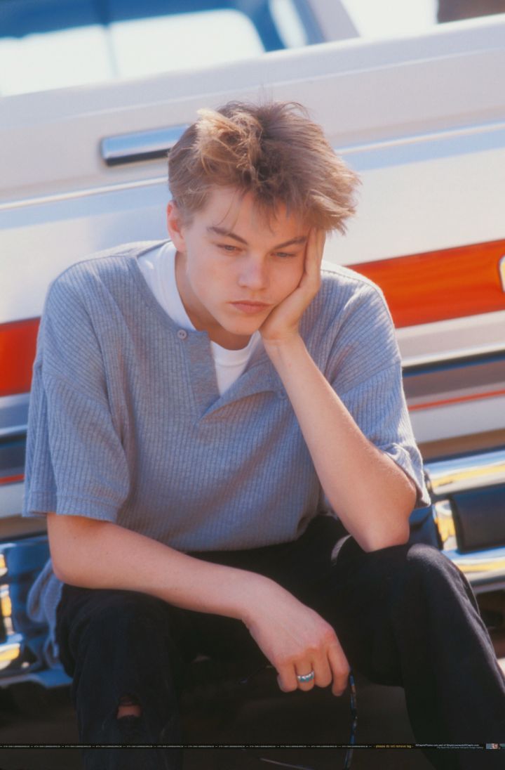 小李子
Leonardo DiCaprio