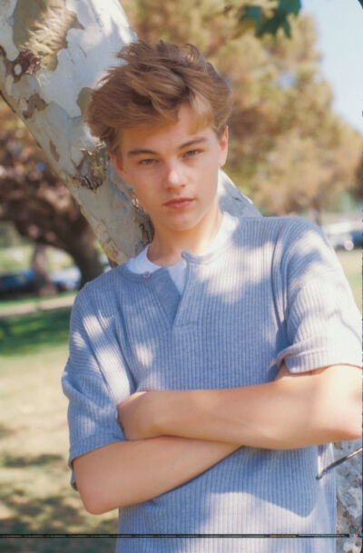 小李子
Leonardo DiCaprio