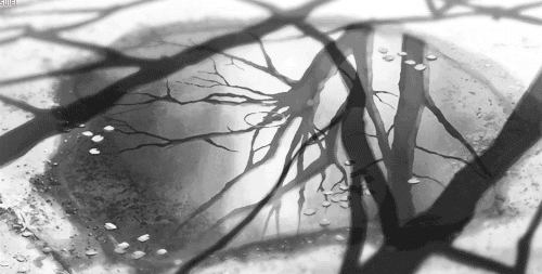 gif 动漫 /陈雨暄