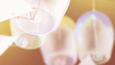 gif 动漫 /陈雨暄