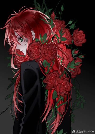 幽游白书-南野秀一