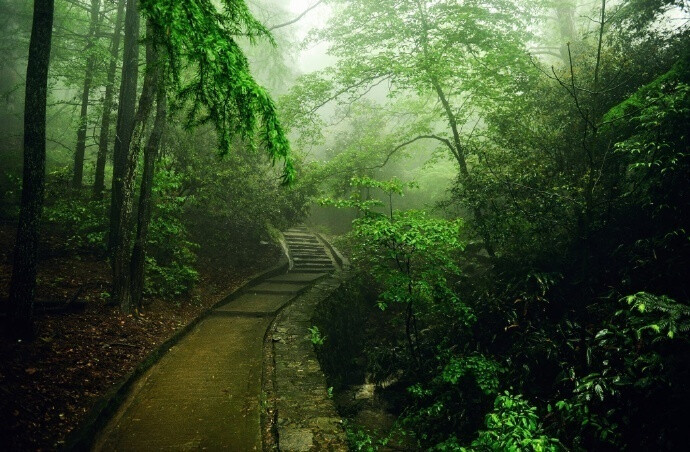 雨洗东坡月色清，市人行尽野人行。莫嫌荦确坡头路，自爱铿然曳杖声。 ​​​​---------------《东坡》苏轼 ​