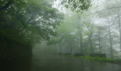 雨洗东坡月色清，市人行尽野人行。莫嫌荦确坡头路，自爱铿然曳杖声。 ​​​​---------------《东坡》苏轼 ​