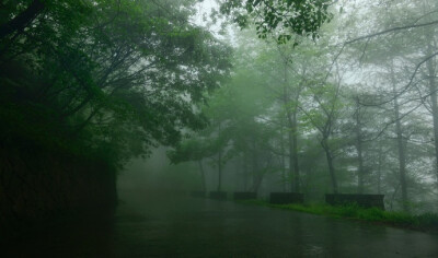 雨洗东坡月色清，市人行尽野人行。莫嫌荦确坡头路，自爱铿然曳杖声。 ​​​​---------------《东坡》苏轼 ​