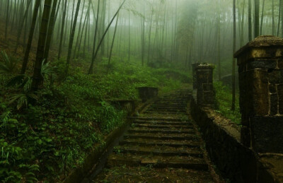 雨洗东坡月色清，市人行尽野人行。莫嫌荦确坡头路，自爱铿然曳杖声。 ​​​​---------------《东坡》苏轼 ​