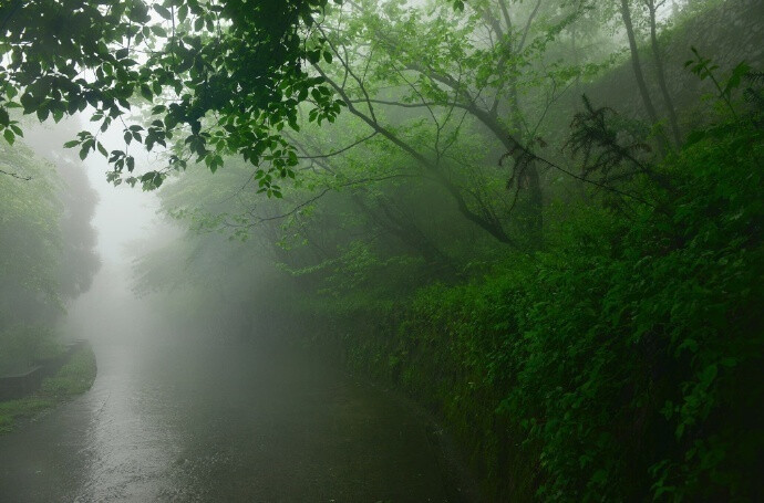 雨洗东坡月色清，市人行尽野人行。莫嫌荦确坡头路，自爱铿然曳杖声。 ​​​​---------------《东坡》苏轼 ​