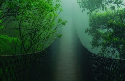 雨洗东坡月色清，市人行尽野人行。莫嫌荦确坡头路，自爱铿然曳杖声。 ​​​​---------------《东坡》苏轼 ​