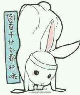 魔道祖师含光君兔子