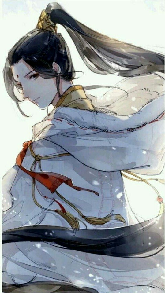 魔道祖师。忘羡。