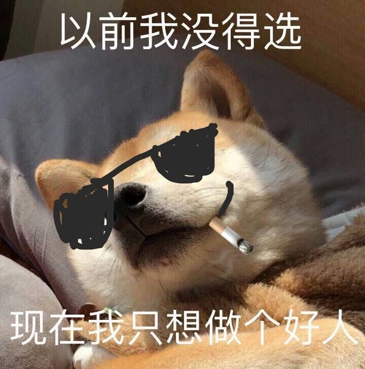 是沙雕啊