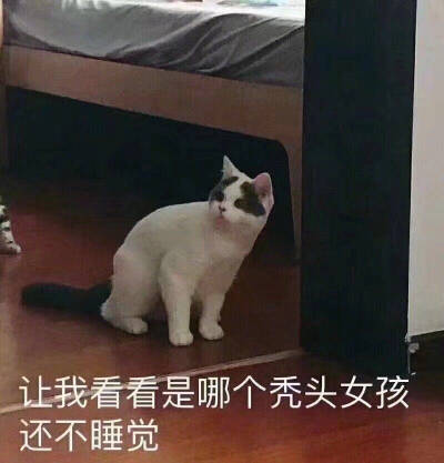 是沙雕啊